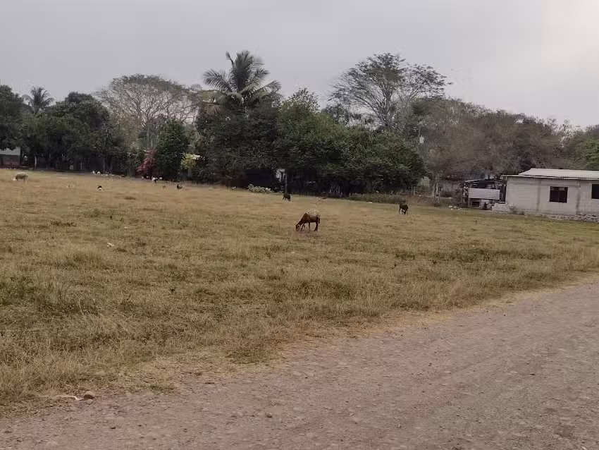 LOC. PLAN SEXENAL TLALIXCOYAN C. P. 95235