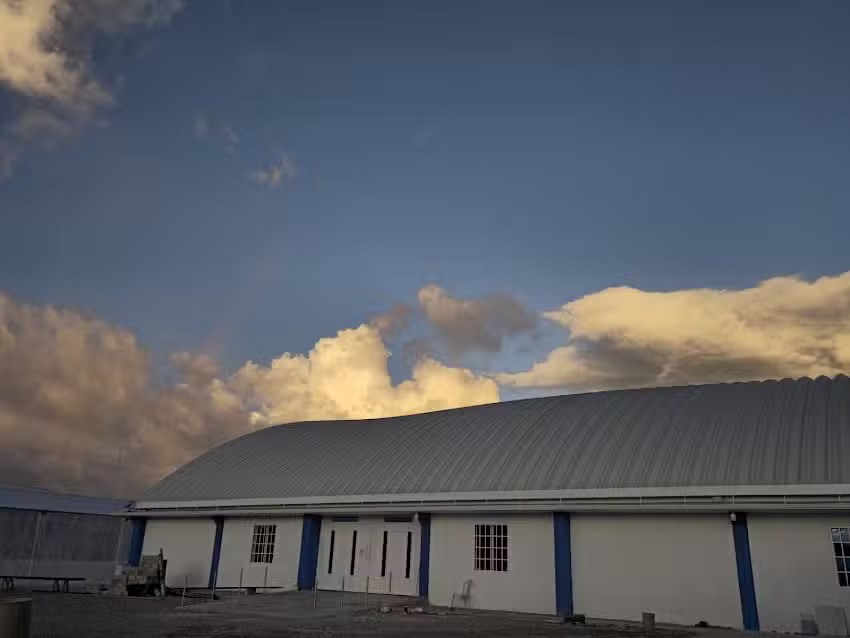 Los Primog&eacute;nitos de Dios