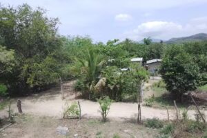 los santos martires playones