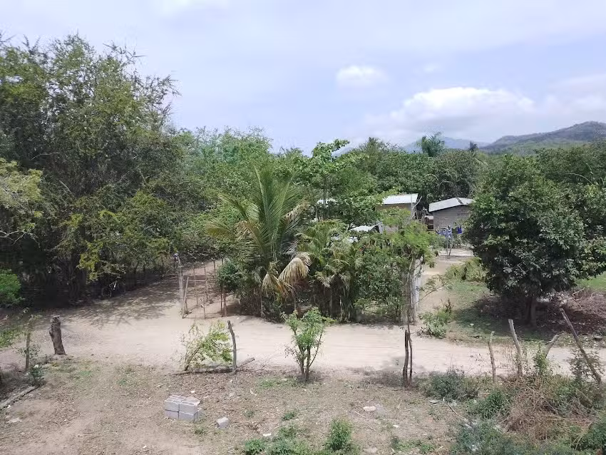 los santos martires playones