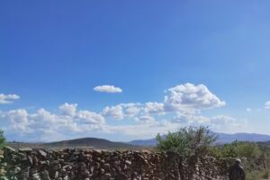 Manzanares del fresno jerecuaro