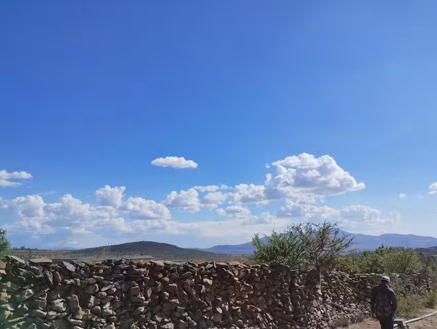 Manzanares del fresno jerecuaro