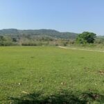 Medell&iacute;n 1secci&oacute;n