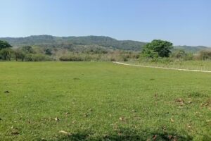 Medell&iacute;n 1secci&oacute;n