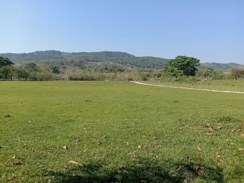 Medell&iacute;n 1secci&oacute;n