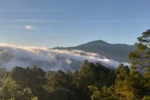 Mikicruz Tetela de Ocampo puebla