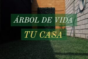 Ministerio &Aacute;rbol De Vida