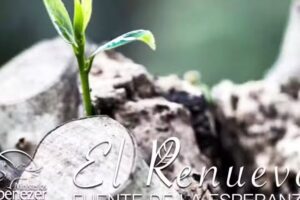 Ministerios Ebenezer EL RENUEVO