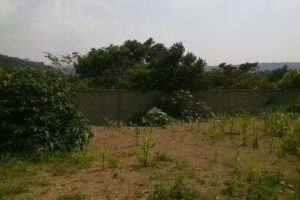 Ministerios El Nuevo Pacto