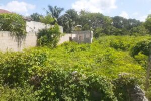 MISIÓN LA HERMOSA MIEPI