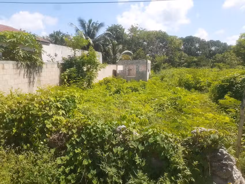 MISI&Oacute;N LA HERMOSA MIEPI