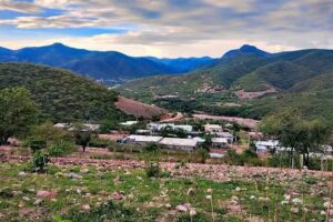 Monte Olivo, Tlapa, Gro.