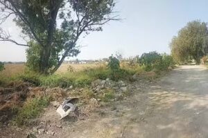 Nicho de Nuestra Se&ntilde;ora de San Juan de los Lagos