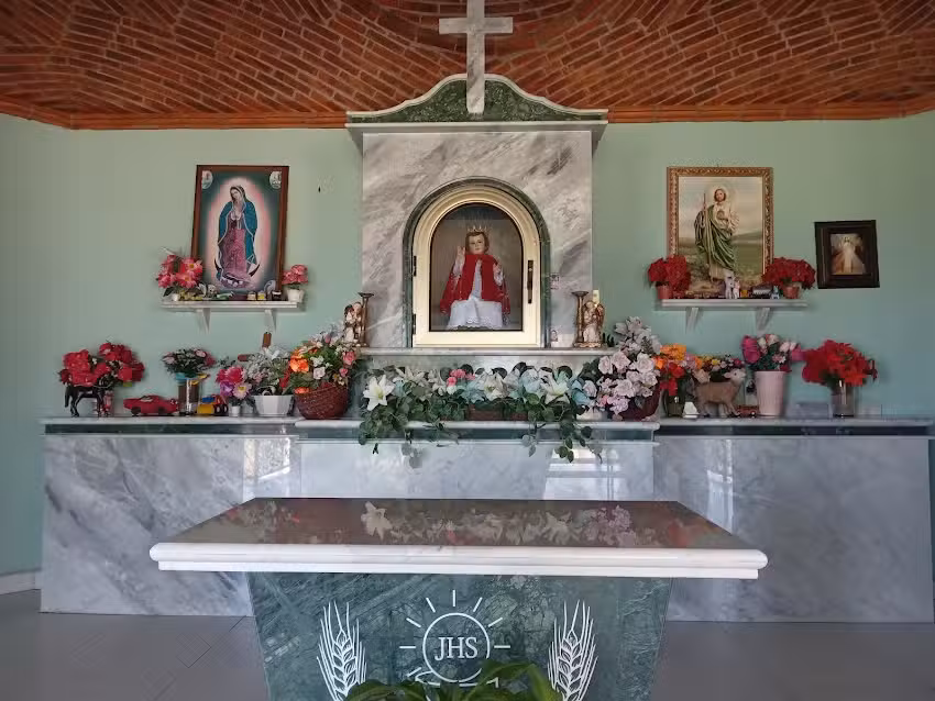 Ni&ntilde;o de la salud