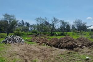 Ntra. Sra. De la Candelaria