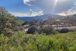 Nuestra Se&ntilde;ora de Guadalupe