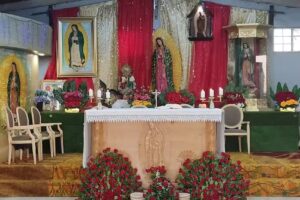 Nuestra Se&ntilde;ora de Guadalupe del Tepeyac