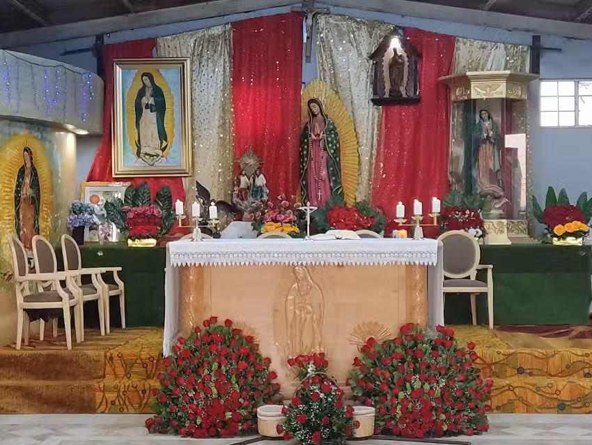 Nuestra Se&ntilde;ora de Guadalupe del Tepeyac