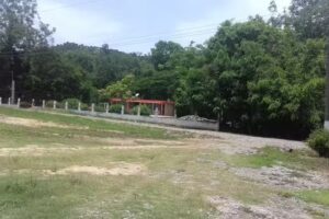 Nuestra Se&ntilde;ora de Lourdes