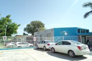 Nueva Visi&oacute;n Internacional