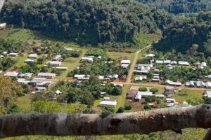 Nuevo San Andr&eacute;s