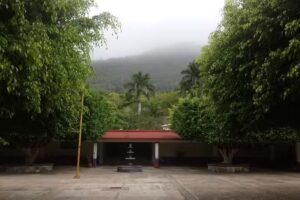 Oasis De La Cruz
