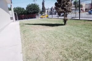 Oficina de la Misi&oacute;n M&eacute;xico Torre&oacute;n