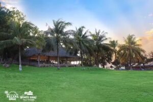 PALAPA MONTE SINA&Iacute;