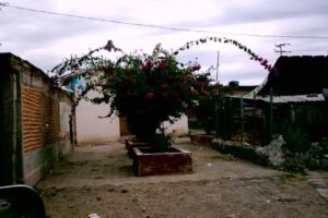 Parroquia a La Virgen Del Carmen