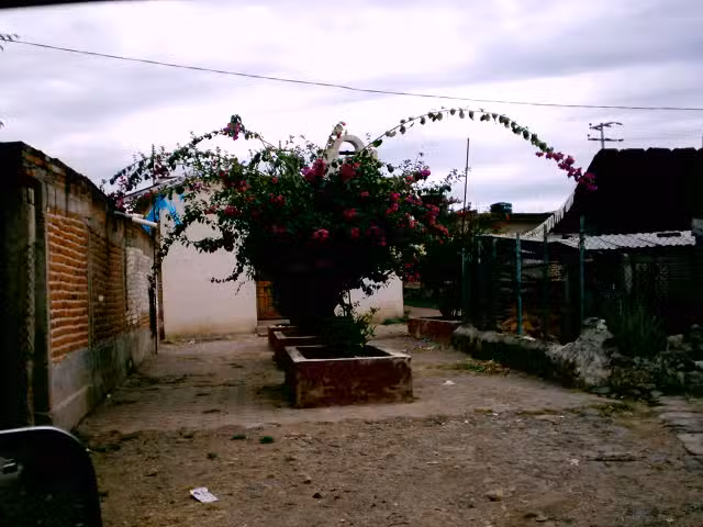Parroquia a La Virgen Del Carmen
