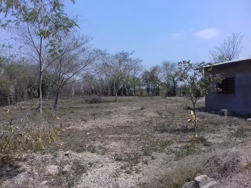 Parroquia Cristo Rey