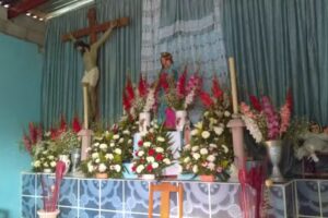 Parroquia de mar&iacute;a auxiliadora