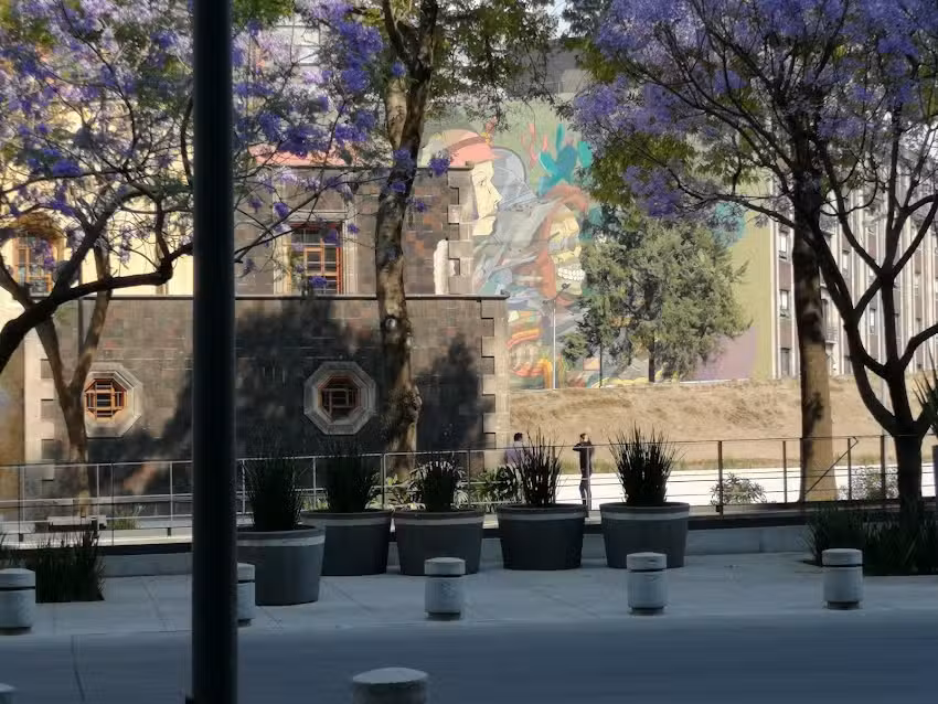 Parroquia de San Mart&iacute;n de Porres