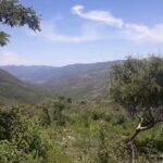 Parroquia de Santa Mar&iacute;a