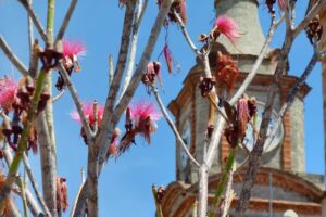 Parroquia De Santa Mar&iacute;a de Bel&eacute;n