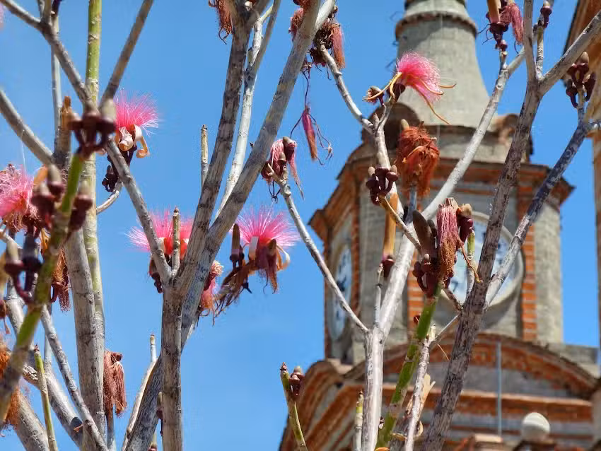 Parroquia De Santa Mar&iacute;a de Bel&eacute;n