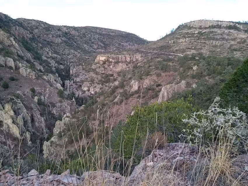 Parroquia Del Sagrado Corazon De Jesus