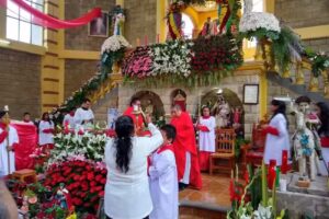 Parroquia del se&ntilde;or Santiago