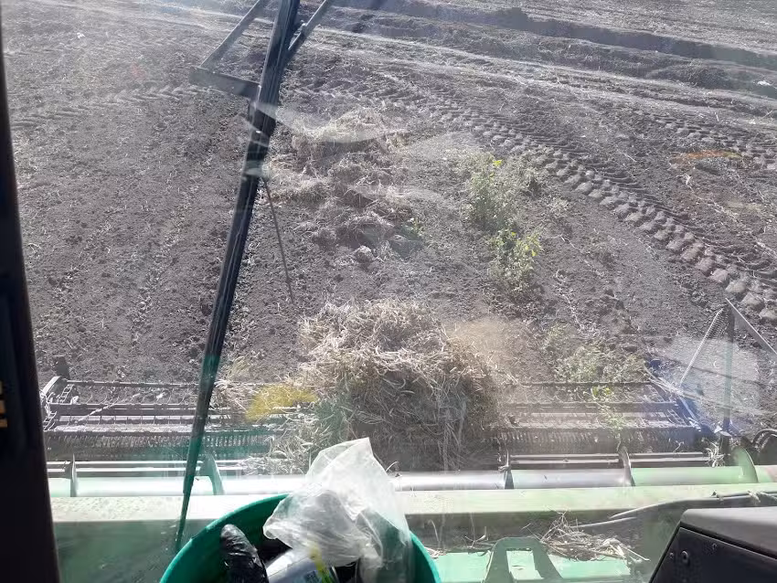 Parroquia Nuestra se&ntilde;ora de la paz