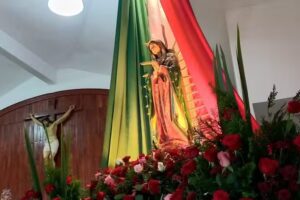 Parroquia San Pedro Esqueda Martir