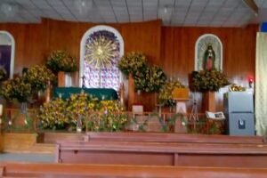 Parroquia San Vicente de Paul