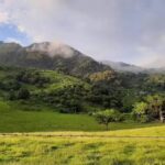 Parroquia &ldquo;Virgen del Carmen&rdquo;