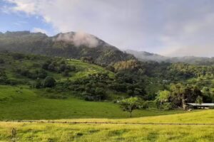 Parroquia &ldquo;Virgen del Carmen&rdquo;