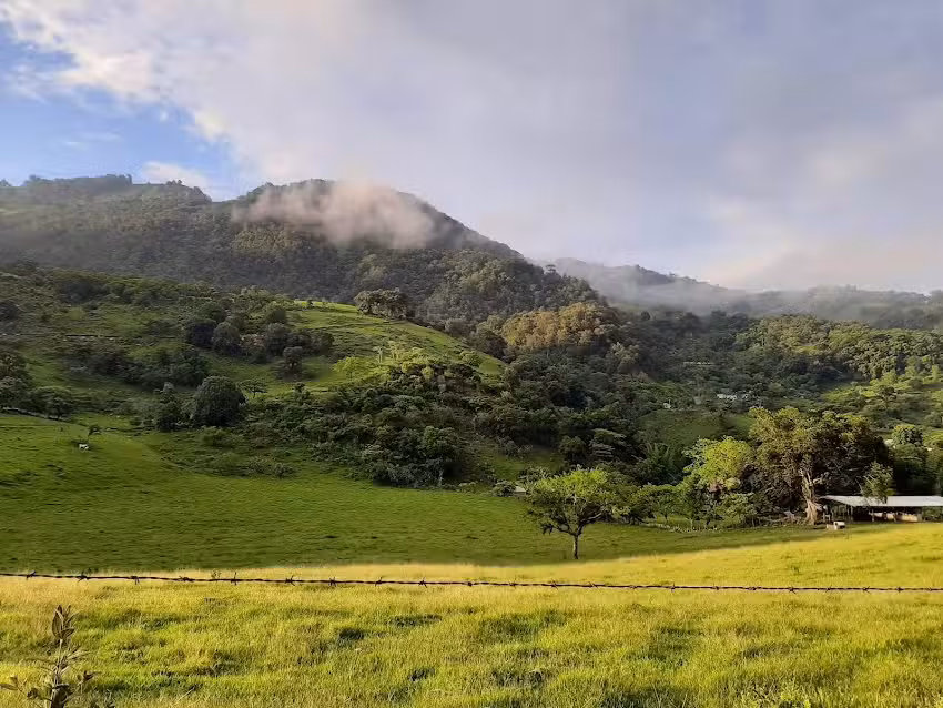 Parroquia &ldquo;Virgen del Carmen&rdquo;