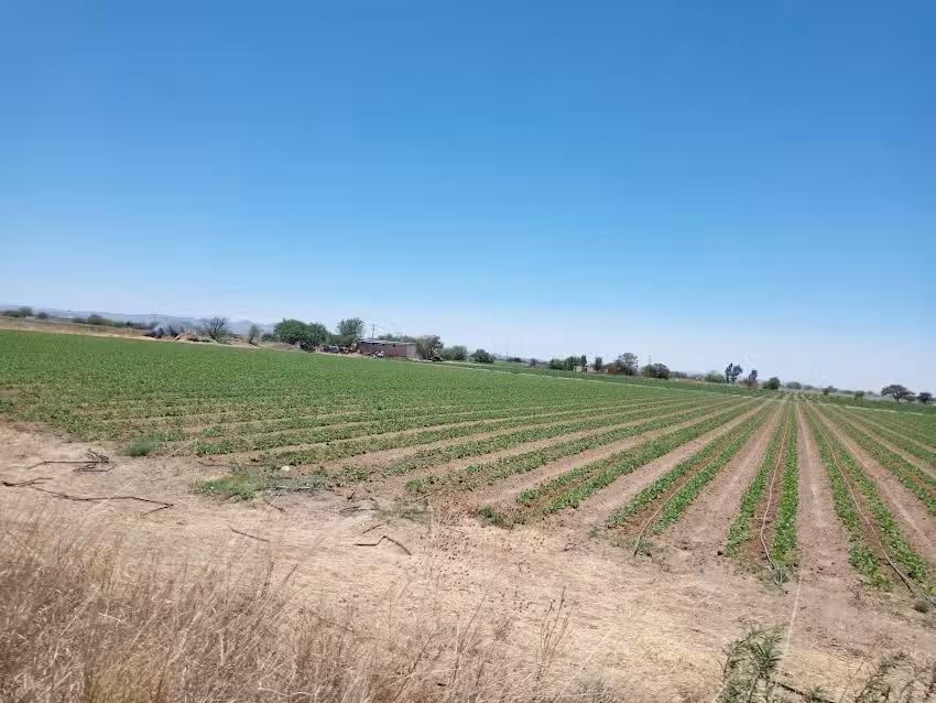 POTRERO DE OJUELOS FRESNILLO ZACATECAS