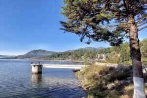 &rdquo;Pr&iacute;ncipe de Paz&rdquo;