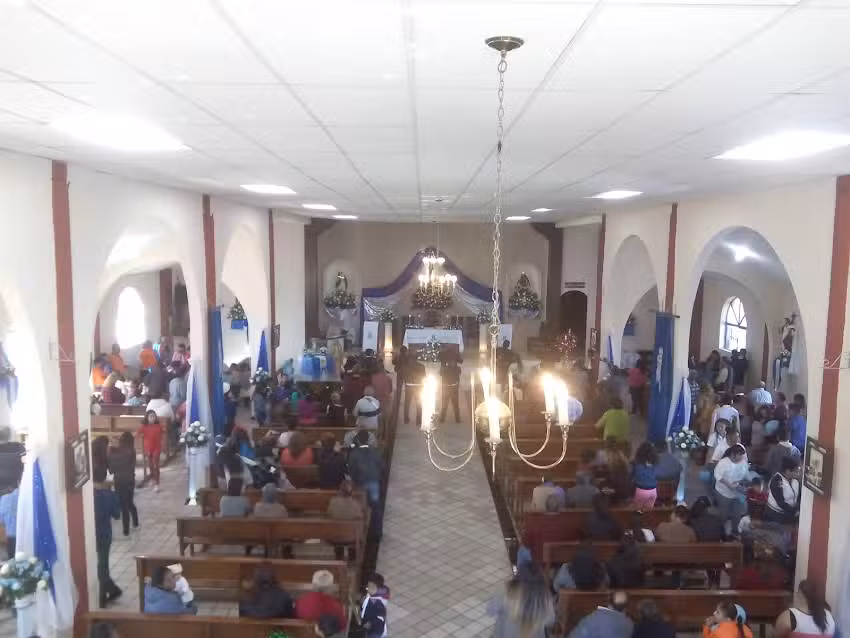 Pur&iacute;sima concepci&oacute;n