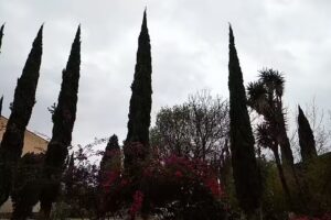 Quinta San Ramón Nonato