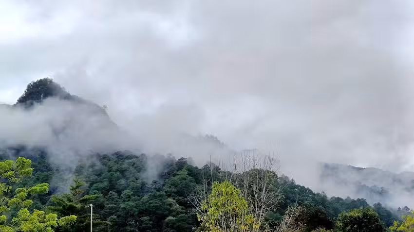 Rancher&iacute;a Santa Luc&iacute;a