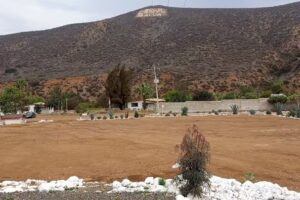 Rancho Tu Vuelta a Cristo